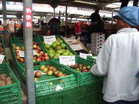 Organic Carol's produce