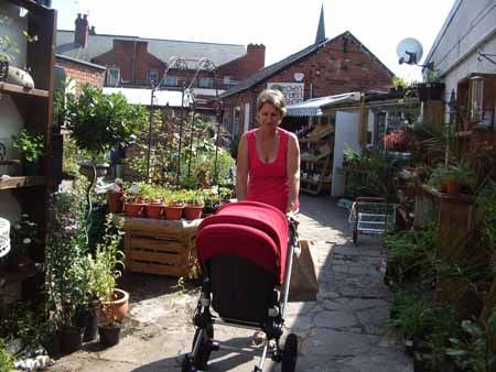 kitchen garden